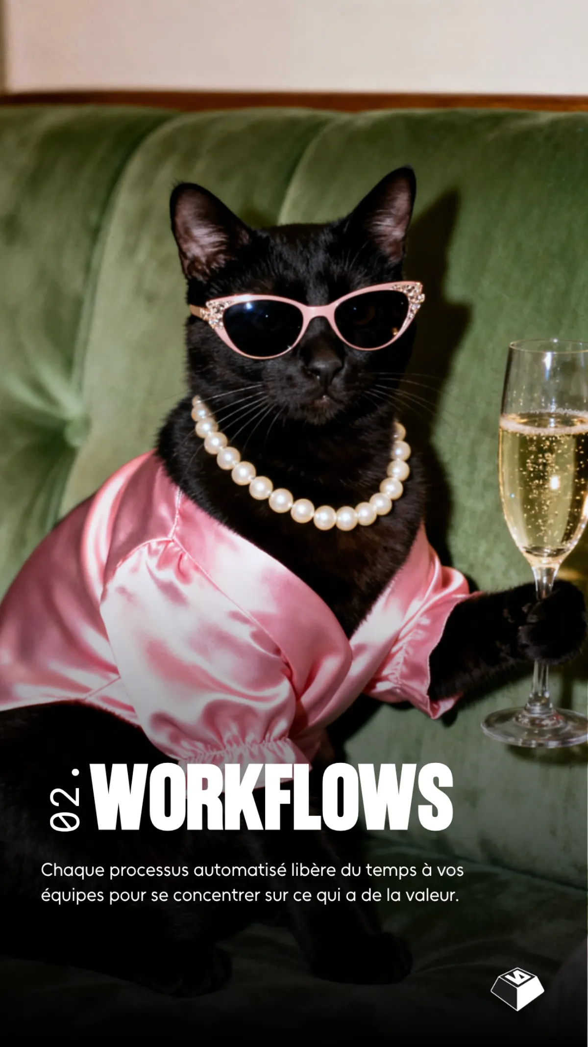 Workflows & automatisations